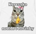 Koszulka